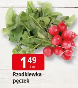 E.Leclerc Rzodkiewka oferta