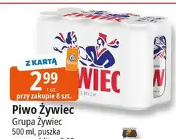 E.Leclerc Piwo Żywiec Jasne Pełne oferta
