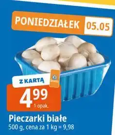 E.Leclerc Pieczarki białe oferta