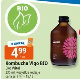 E.Leclerc Napój mango + marakuja Vigo Kombucha oferta