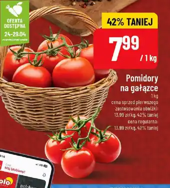 Polomarket Pomidory na gałązce oferta