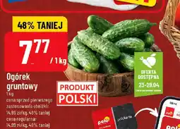 Polomarket Ogórek gruntowy oferta