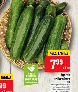 Polomarket Ogórek szklarniowy oferta