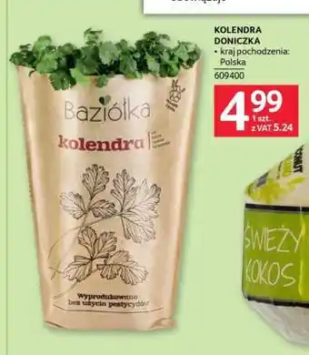 Selgros KOLENDRA DONICZKA oferta