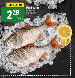 Polomarket Płoć tusza oferta