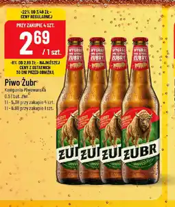 Polomarket Piwo Zubr oferta