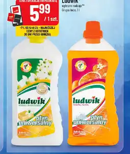 Polomarket Płyn do mycia Ludwik oferta