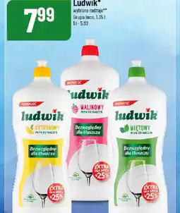 Polomarket Płyn do mycia naczyń Ludwik oferta
