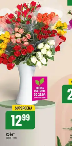 Polomarket Róże oferta