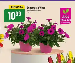 Polomarket Supertunie Vista oferta