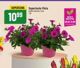 Polomarket Supertunie Vista oferta