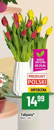 Polomarket Tulipany oferta