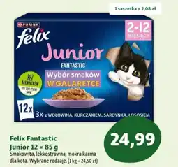 Maxi Zoo Felix Fantastic Junior mokra karma dla kota oferta