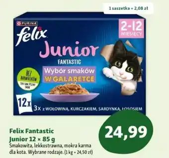 Maxi Zoo Felix Fantastic Junior mokra karma dla kota oferta