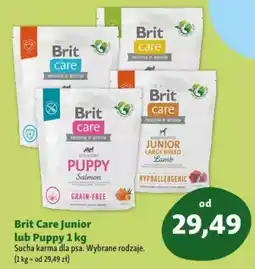 Maxi Zoo Brit Care Junior lub Puppy Sucha karma dla psa oferta