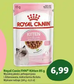Maxi Zoo Royal Canin FHN Kitten mokra dla kota oferta