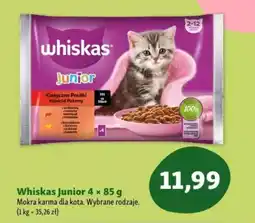 Maxi Zoo Whiskas Junior Mokra karma dla kota oferta