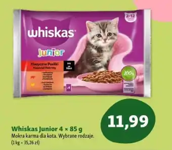 Maxi Zoo Whiskas Junior Mokra karma dla kota oferta