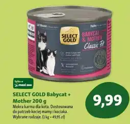 Maxi Zoo SELECT GOLD Babycat + Mother Mokra karma dla kota oferta