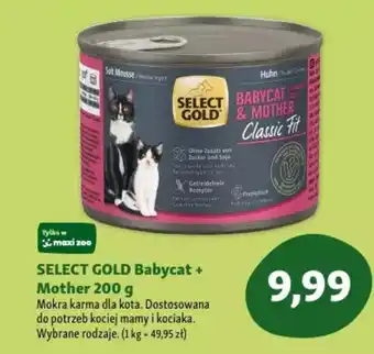 Maxi Zoo SELECT GOLD Babycat + Mother Mokra karma dla kota oferta