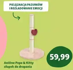 Maxi Zoo AniOne Pepe & Kitty słupek do drapania oferta