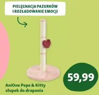 Maxi Zoo AniOne Pepe & Kitty słupek do drapania oferta