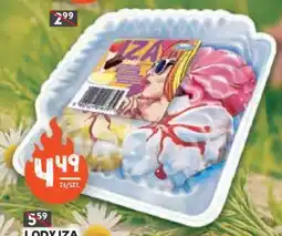 Stokrotka Market LODY IZA oferta