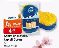 E.Leclerc Gąbka do kąpieli fala Ocean oferta