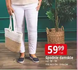 E.Leclerc Spodnie damskie 30-38 oferta