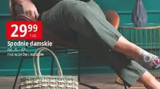 E.Leclerc Spodnie damskie xl-6xl oferta