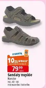 E.Leclerc Sandały męskie 40-46 Kondor oferta