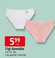 E.Leclerc Figi damskie roz. m-4xl oferta