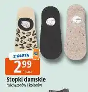 E.Leclerc Stopki damskie oferta