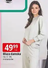 E.Leclerc Bluza damska s-3xl oferta