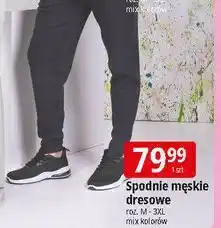 E.Leclerc Spodenki męskie dresowe m-3xl oferta