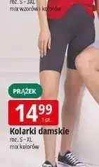 E.Leclerc Kolarki damskie s-xl oferta