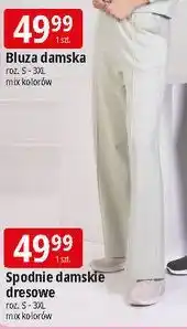 E.Leclerc Spodnie damskie dresowe s-3xl oferta