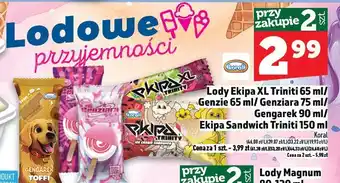 Topaz Lody Ekipa XL Triniti 65 ml Koral oferta