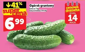 Topaz Ogórek gruntowy TOPAZ oferta