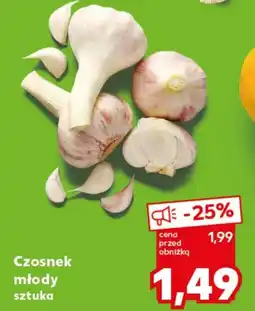 Kaufland Czosnek oferta