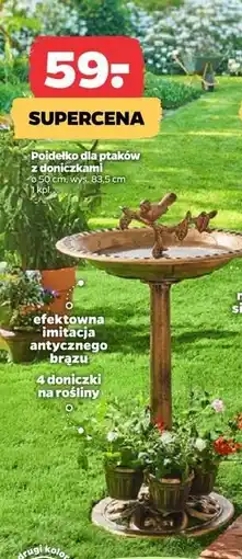 Netto Poidełko dla ptaków oferta