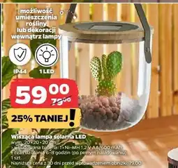 Netto Lampa wisząca solarna led oferta