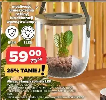 Netto Lampa wisząca solarna led oferta