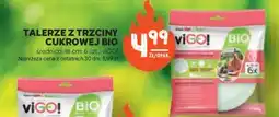 Stokrotka Market Talerze z trzciny cukrowej BIO oferta
