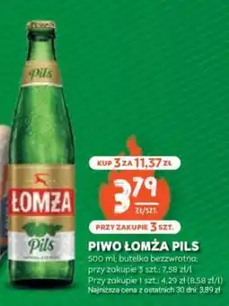 Stokrotka Market PIWO ŁOMŻA PILS oferta