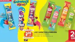 Stokrotka Market Lody Sorbetowe, Kameleon oferta