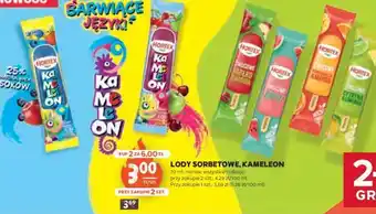 Stokrotka Market Lody Sorbetowe, Kameleon oferta