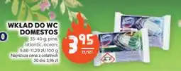 Stokrotka Market Wkład do WC Domestos oferta