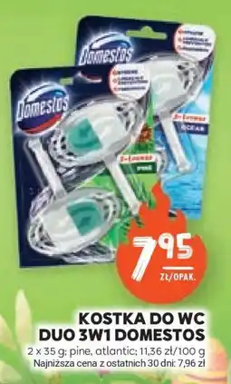 Stokrotka Market KOSTKA DO WC DUO 3W1 DOMESTOS oferta