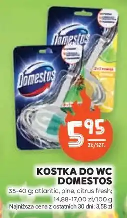 Stokrotka Market Kostka do WC Domestos oferta